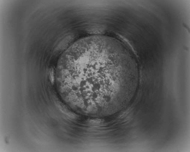 X0000099930069200806061504