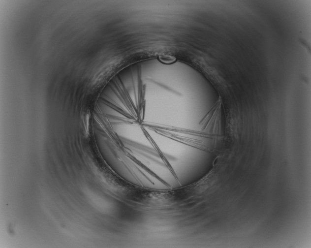 X0000099930070200806061504