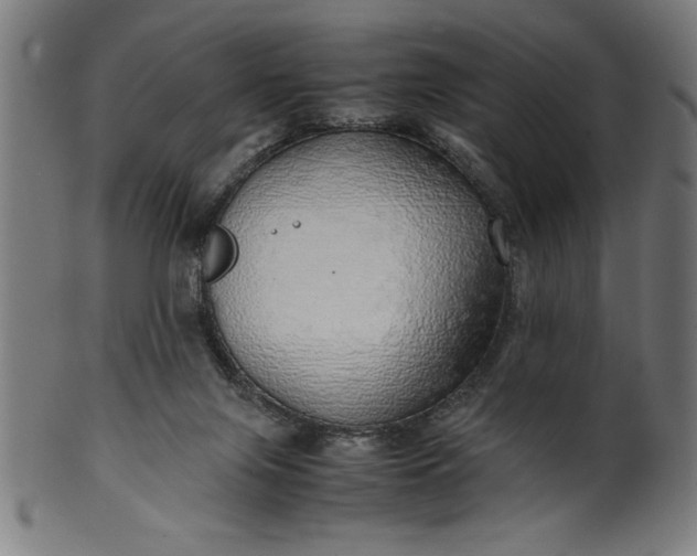 X0000099930071200806061504