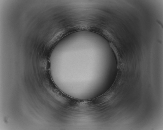 X0000099930072200806061504