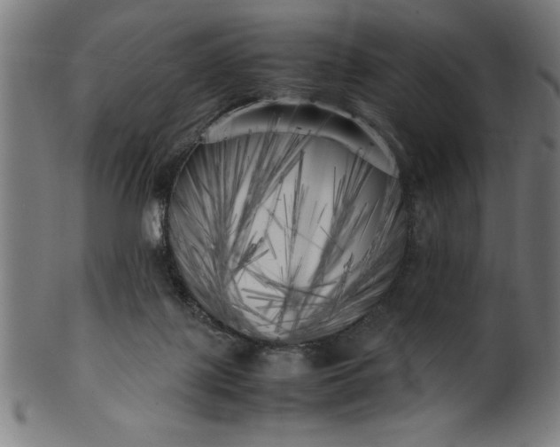 X0000099930075200806061504