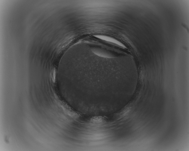 X0000099930076200806061504