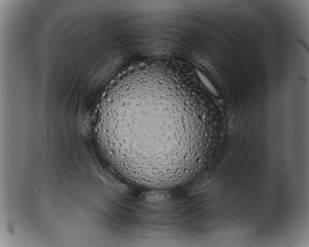 X0000099930077200806061504