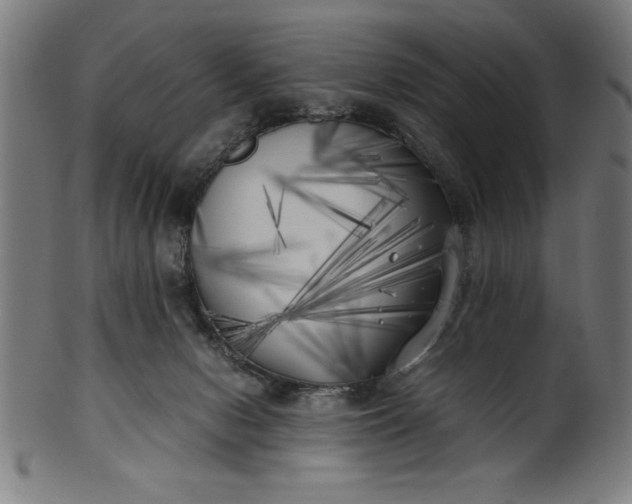 X0000099930078200806061504