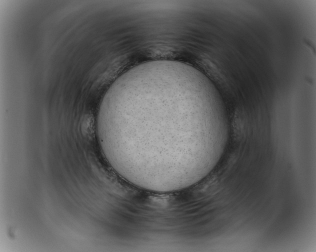 X0000099930079200806061504