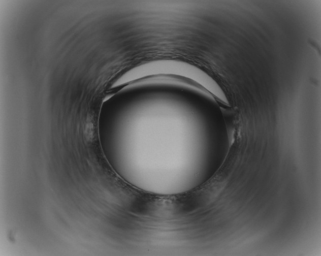 X0000099930080200806061504