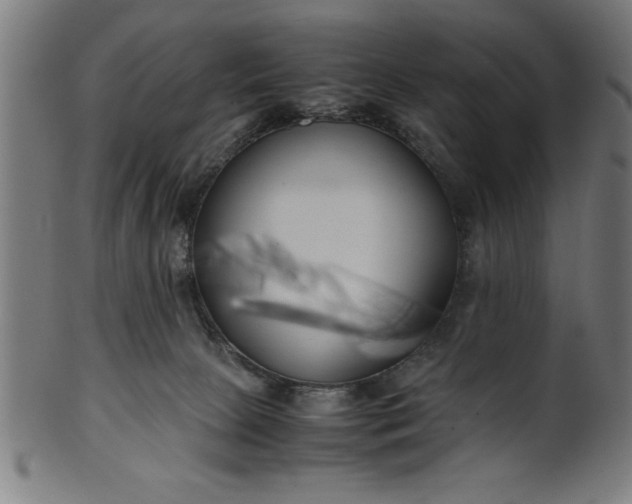 X0000099930081200806061504