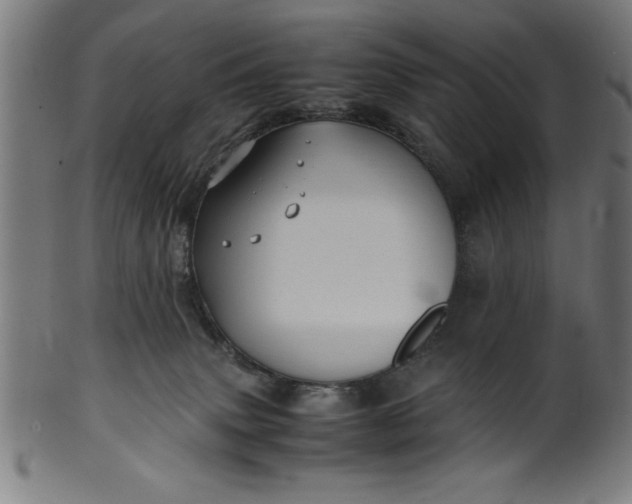 X0000099930083200806061504