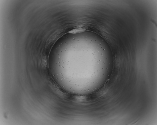 X0000099930085200806061504