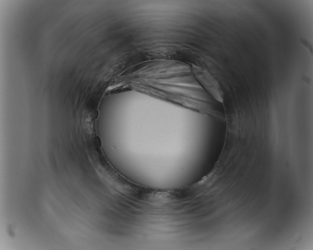 X0000099930086200806061504