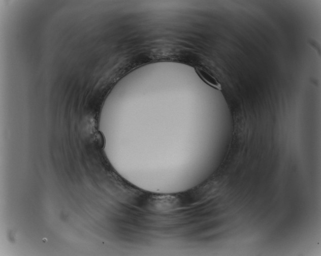 X0000099930087200806061504