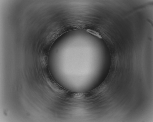 X0000099930088200806061504