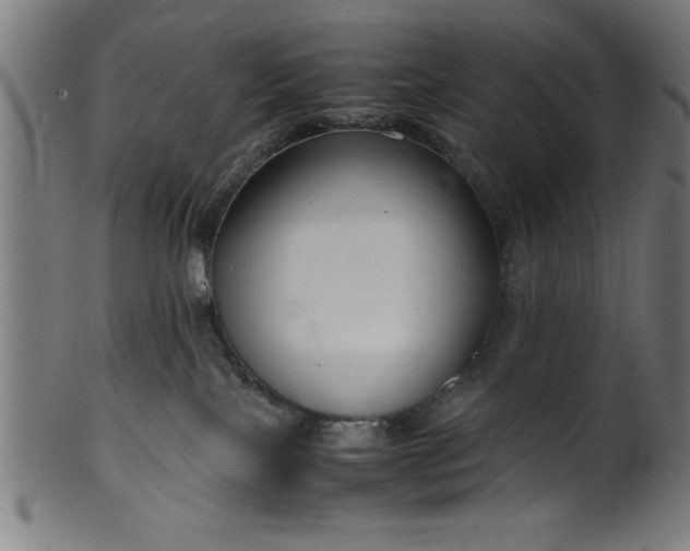 X0000099930089200806061504