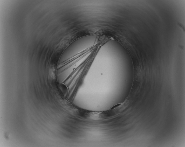 X0000099930090200806061504