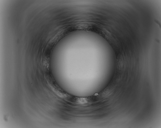 X0000099930091200806061504