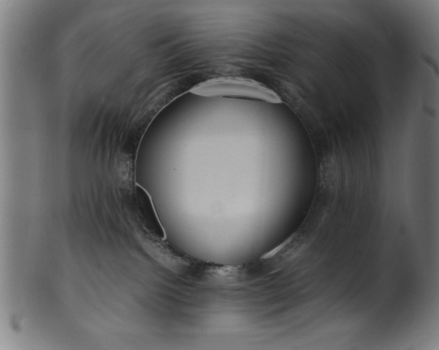 X0000099930092200806061504