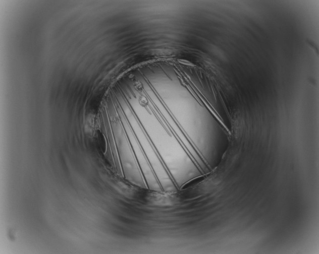 X0000099930093200806061504