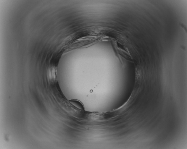 X0000099930094200806061504