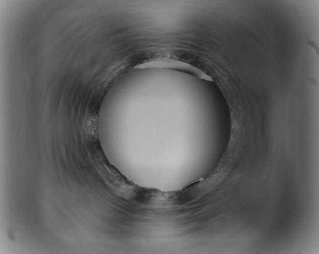 X0000099930096200806061504