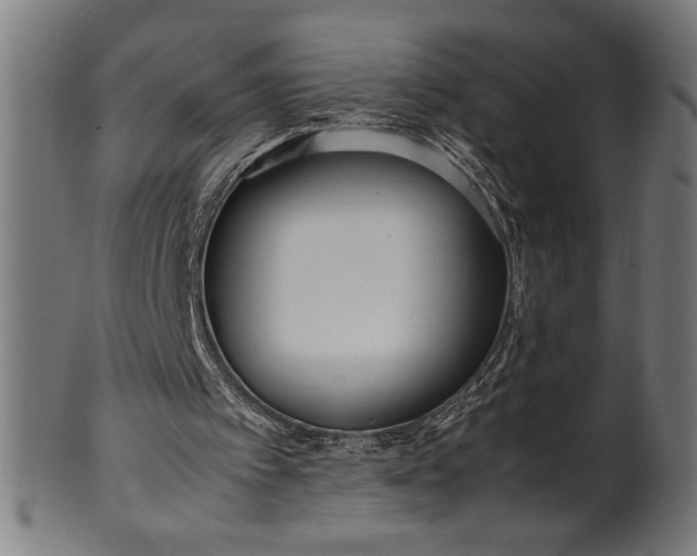 X0000099930097200806061504