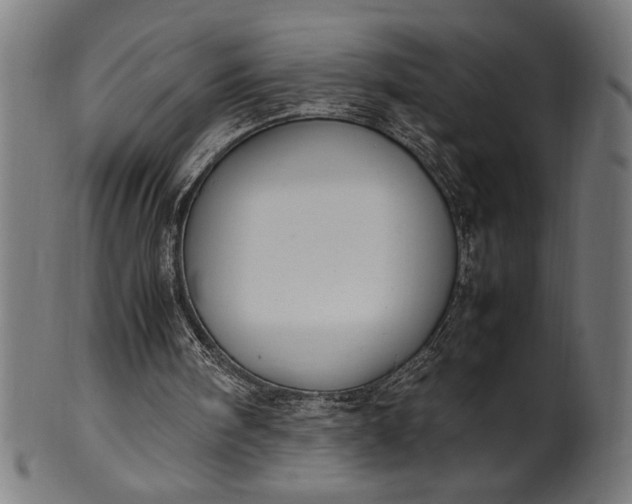 X0000099930098200806061504