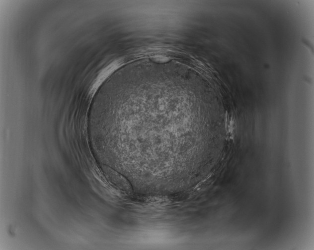 X0000099930099200806061504