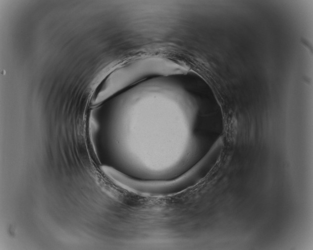 X0000099930100200806061504