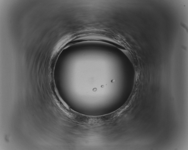 X0000099930101200806061503