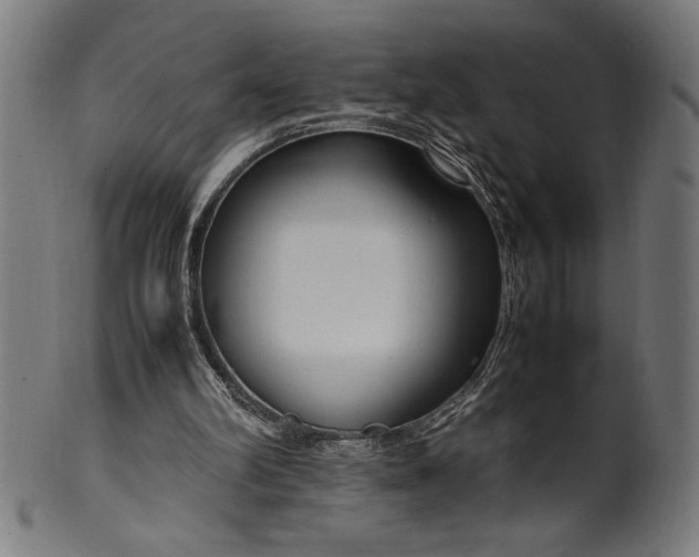 X0000099930102200806061503