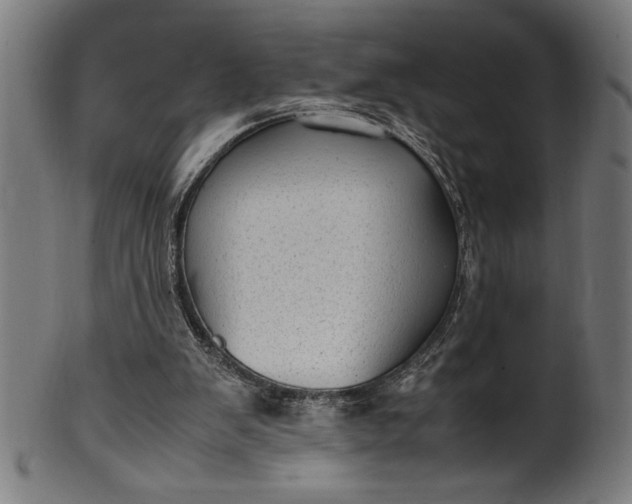 X0000099930103200806061503