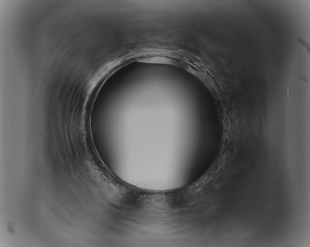 X0000099930104200806061503