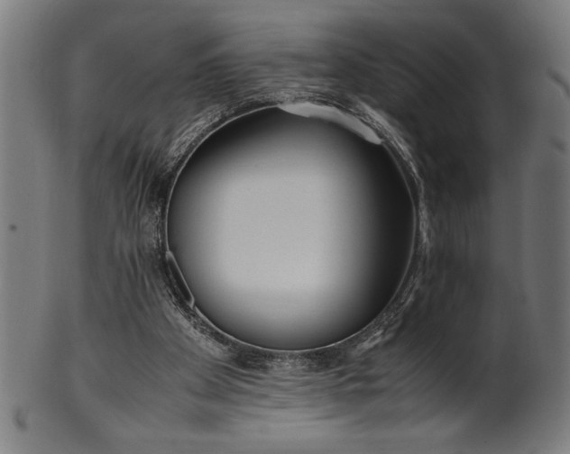 X0000099930105200806061503