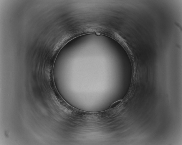 X0000099930106200806061503