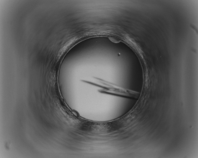 X0000099930107200806061503