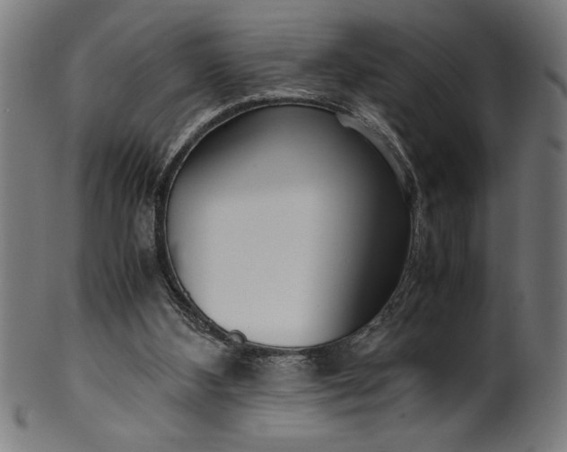 X0000099930108200806061503