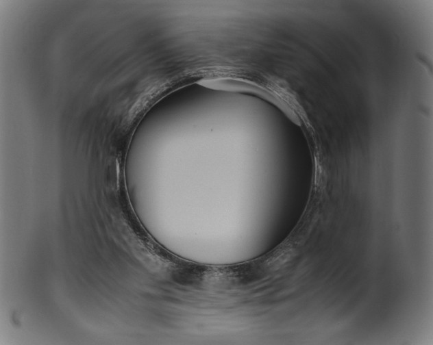 X0000099930109200806061503