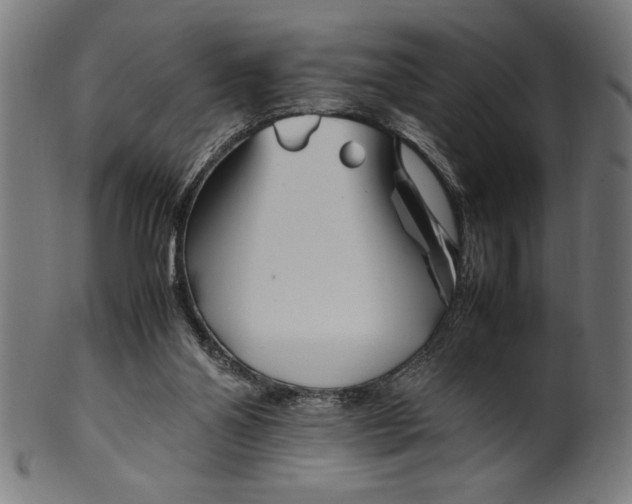 X0000099930110200806061503