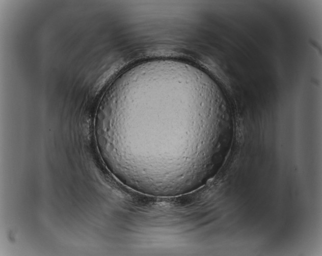 X0000099930111200806061503