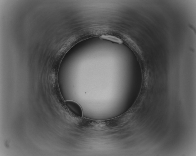 X0000099930113200806061503