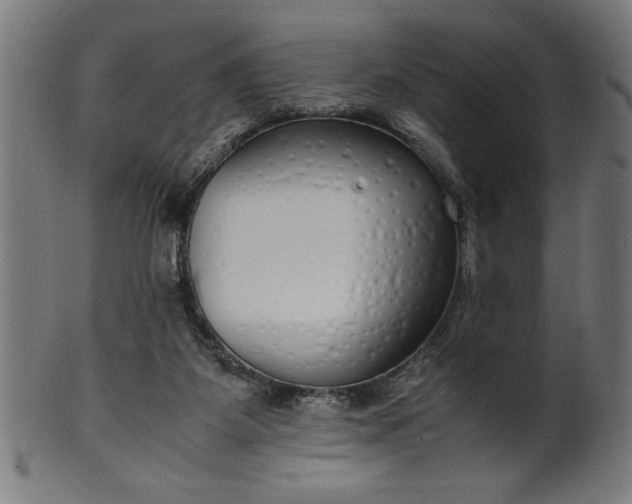 X0000099930115200806061503