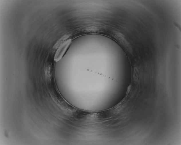 X0000099930116200806061503