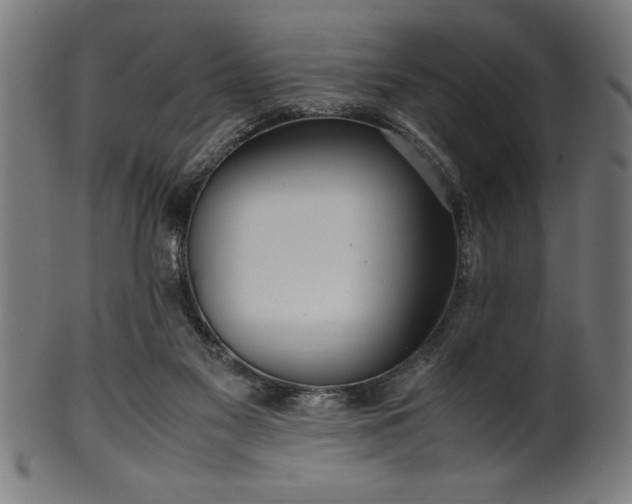 X0000099930117200806061503