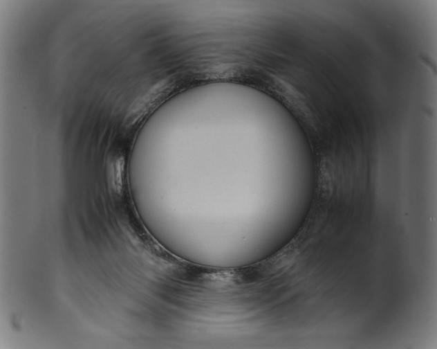 X0000099930118200806061503