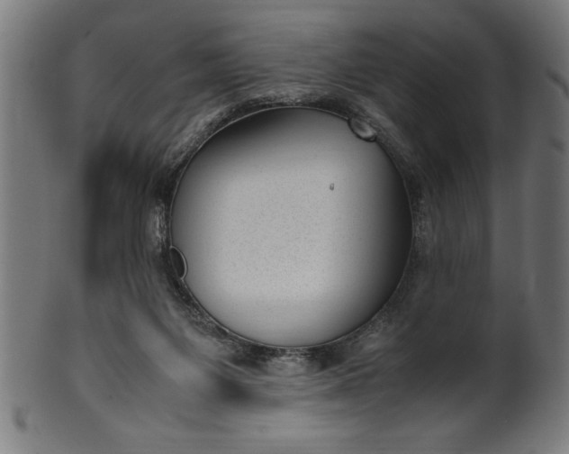 X0000099930119200806061503