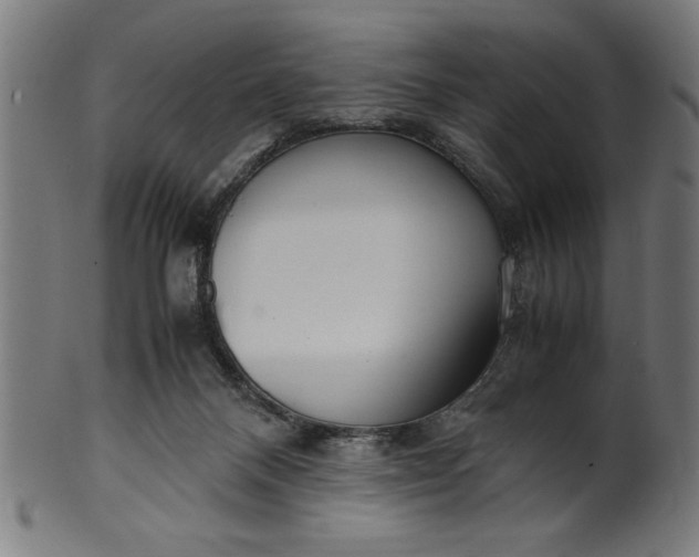 X0000099930120200806061503