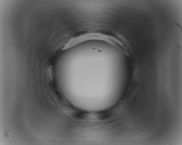 X0000099930121200806061503