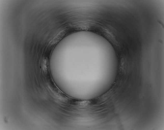 X0000099930122200806061503