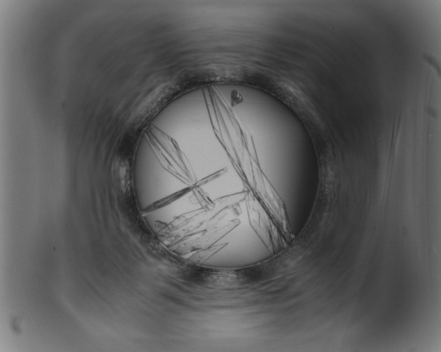 X0000099930123200806061503