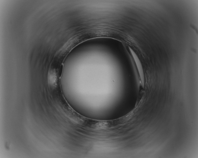 X0000099930124200806061503