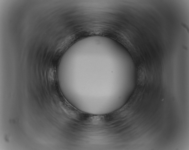 X0000099930126200806061503